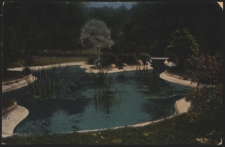 Lublin. Sadzawka w ogrodzie Saskim