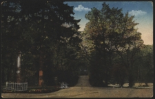 Lublin. Ogr&oacute;d Saski - Aleja gł&oacute;wna