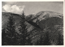 Gorgany. Sywula (1836 m)