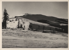 Bieszczady. Czarna Repa