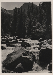 Wysokie Tatry. Motyw z Doliny Białej Wody