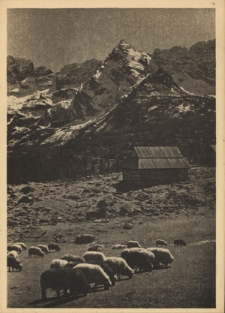 Tatry. Hala Gąsienicowa i Kościelec