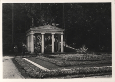 Morszyn (woj. stanisławowskie). Źr&oacute;dło Matki Boskiej