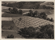 Korczyna (pow. Krosno). Krajobraz