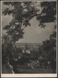 [Lw&oacute;w. Widok og&oacute;lny]