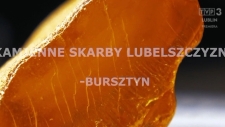 Geograficzne Fenomeny Lubelszczyzny: Odc. 07 - Trzy kolory – czarny, żółty i zielony - kamienne skarby Lubelszczyzny -bursztyn