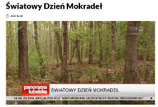 O Światowym Dniu Mokradeł 2020 UMCS w Panoramie Lubelskiej