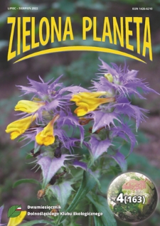 Zielona Planeta. - 2022, nr 4=163 (lipiec-sierpeń)