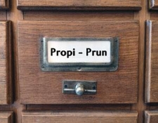 PROPI-PRUN Katalog alfabetyczny